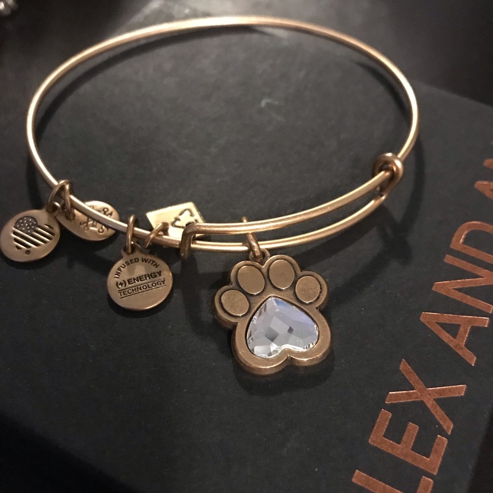 Alex and ani pet bracelet